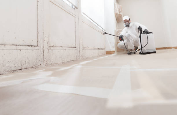 Black mold remediation team in Oyster Bay